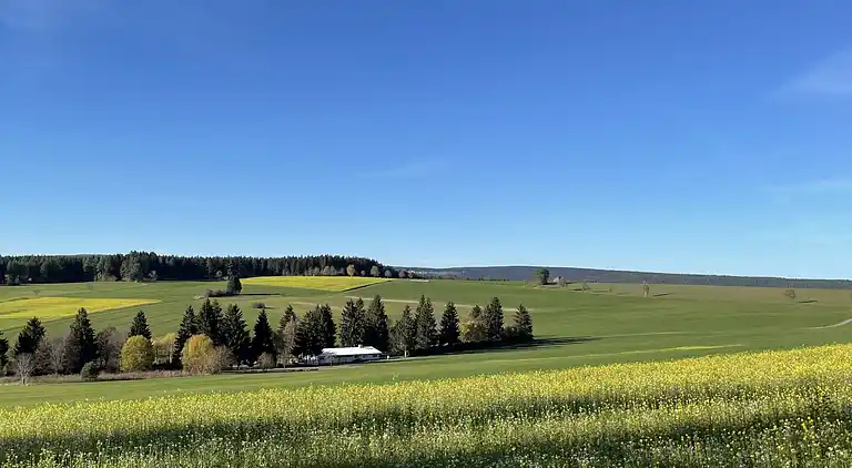 Feriebolig i Löffingen