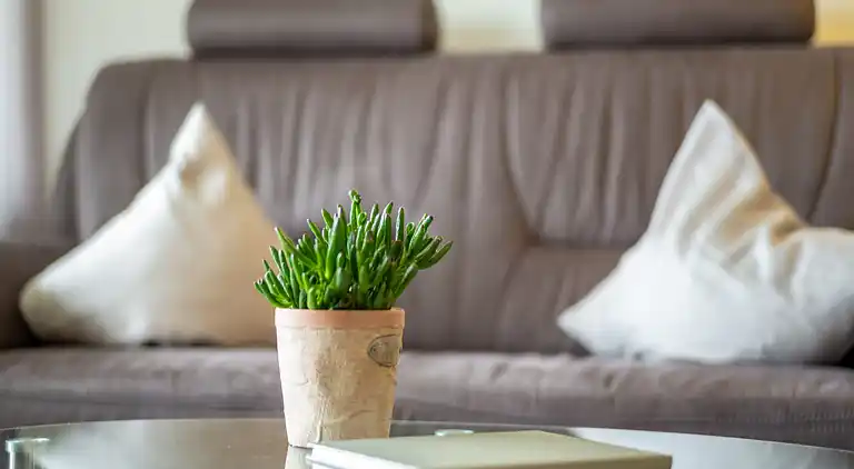 Feriebolig i Löffingen