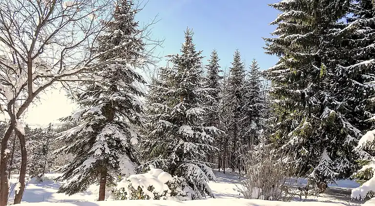 Ferienhaus in Dittishausen