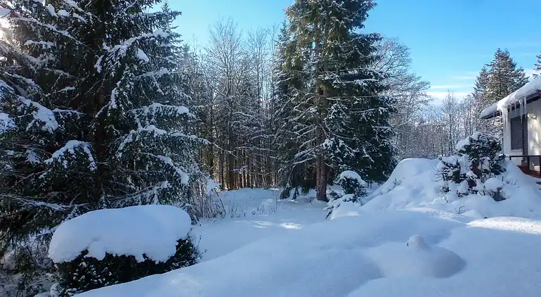 Ferienhaus in Dittishausen