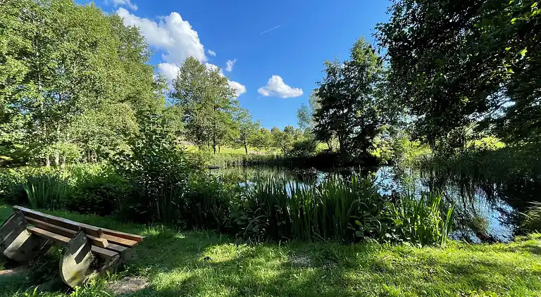 Ferienhaus in Schluchsee