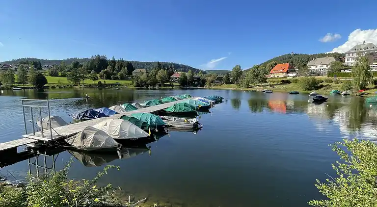 Ferienhaus in Schluchsee