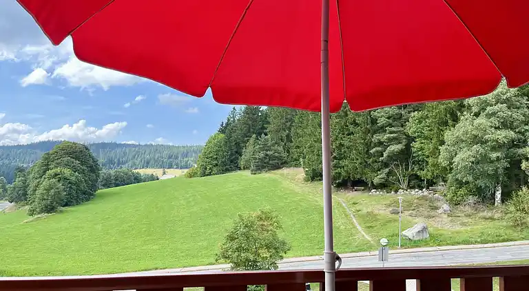 Ferienhaus in Schluchsee