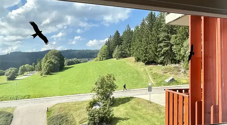 Ferienhaus in Schluchsee