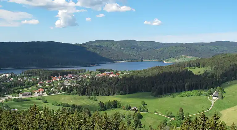 Ferienhaus in Schluchsee
