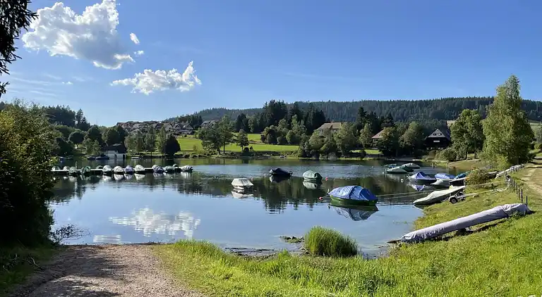 Ferienhaus in Schluchsee