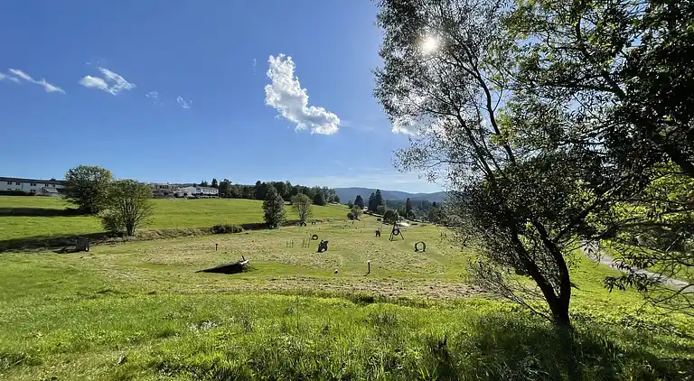 Ferienhaus in Schluchsee
