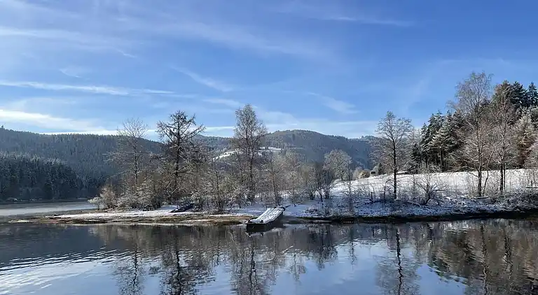 Ferienhaus in Schluchsee