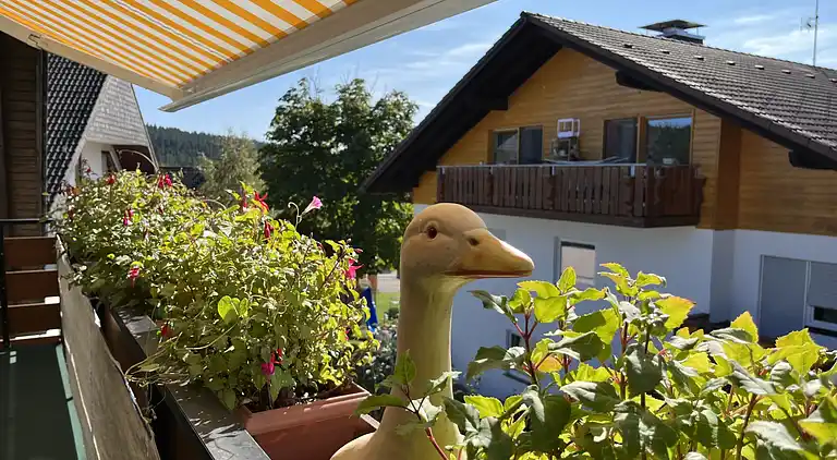 Ferienhaus in Schluchsee