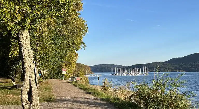 Ferienhaus in Schluchsee