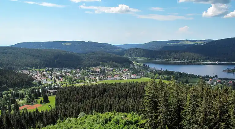Ferienhaus in Schluchsee