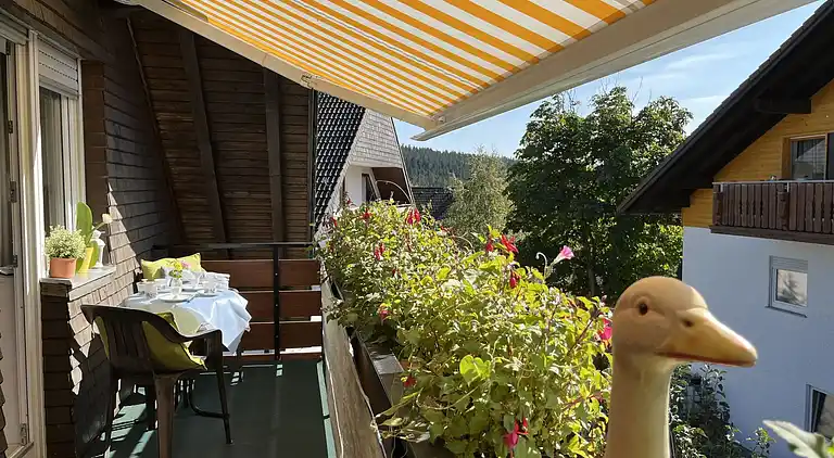 Ferienhaus in Schluchsee