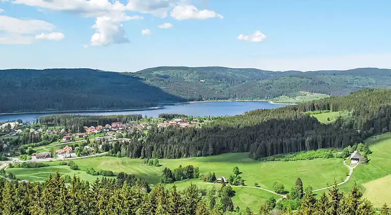 Ferienhaus in Ühlingen-Birkendorf