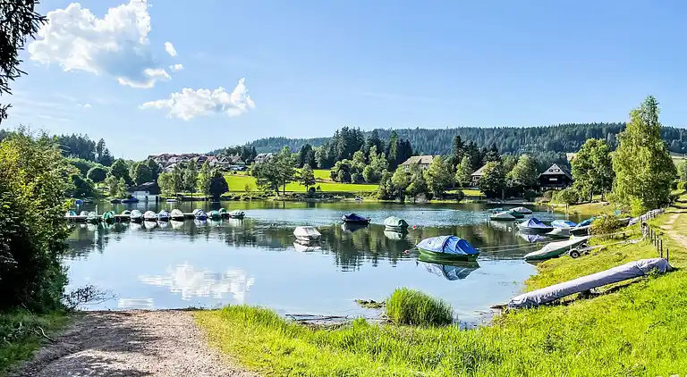 Ferienhaus in Ühlingen-Birkendorf