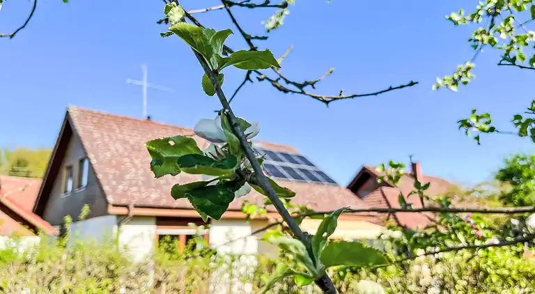 Holiday home in Mengen