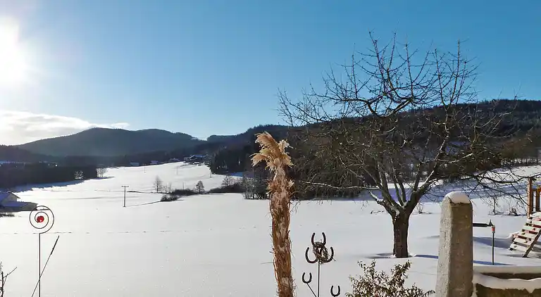 Feriebolig i Zierbach