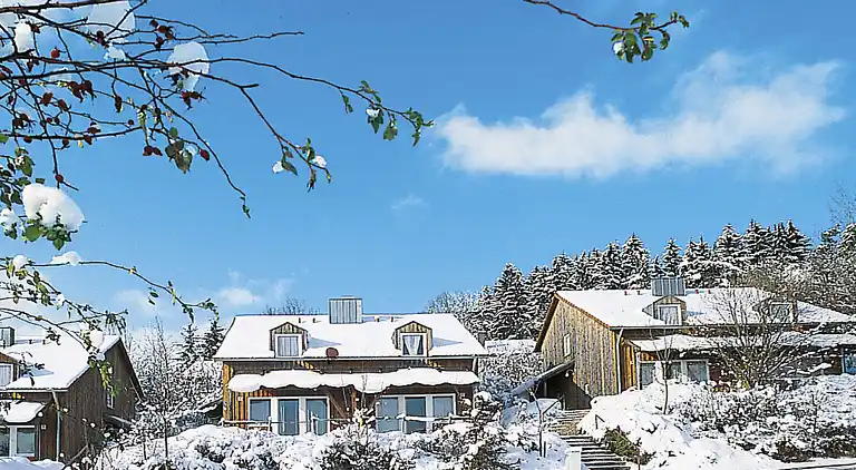 Vacation home in Zandt