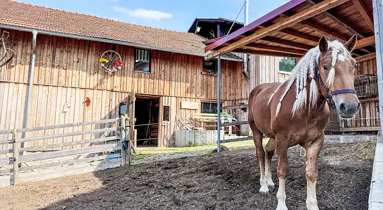Holiday home in Kleß