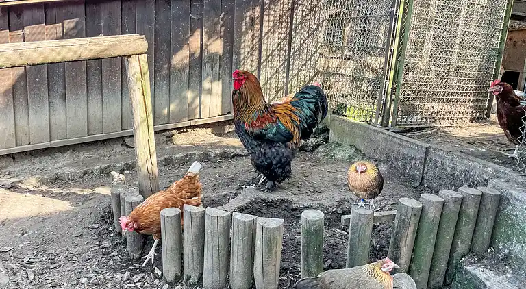 Holiday home in Kleß