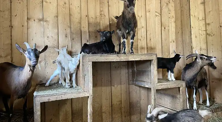 Holiday home in Kleß