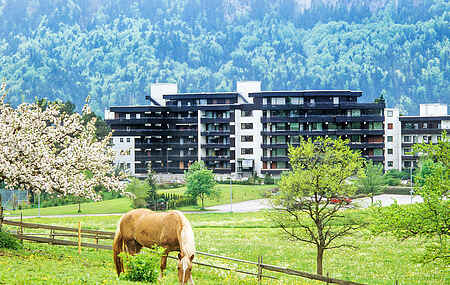 Landsbyhus i Eschach