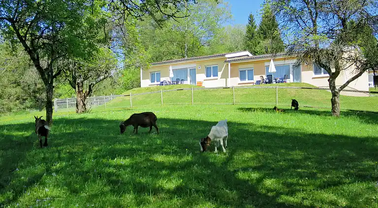 Feriebolig i Gestratz