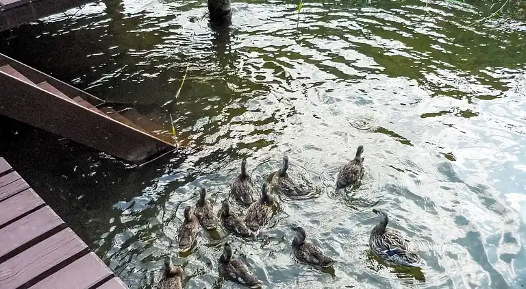 Feriebolig i Meseberg