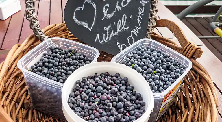 Feriebolig i Meseberg