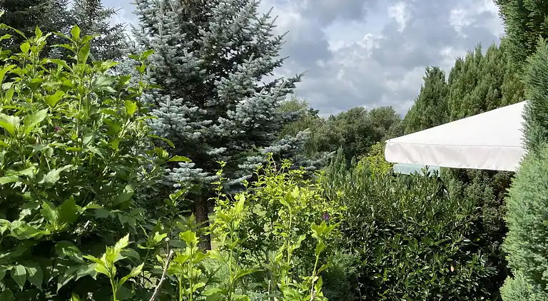 Feriebolig i Ahrensberg