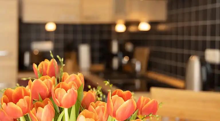 Holiday home in Karlshagen