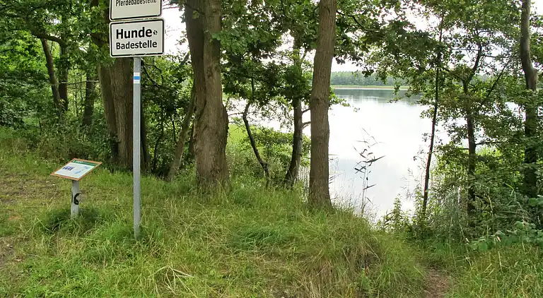 Holiday home in Kuchelmiß