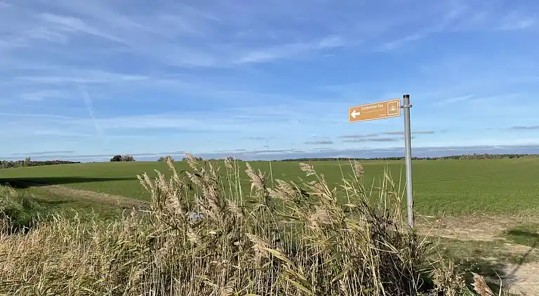 Holiday home in Goldberg