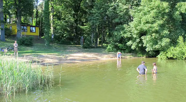 Holiday home in Goldberg