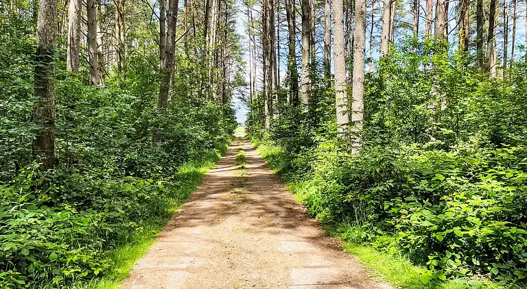 Holiday home in Alt Schwerin