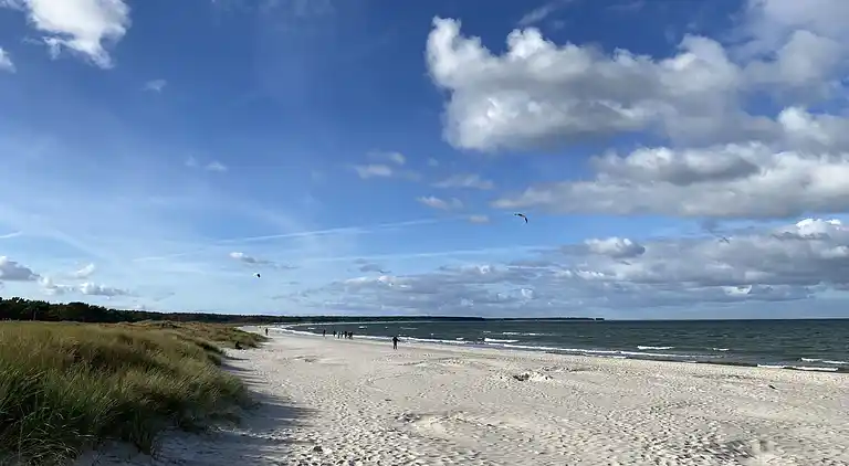 Ferienhaus in Born am Darß