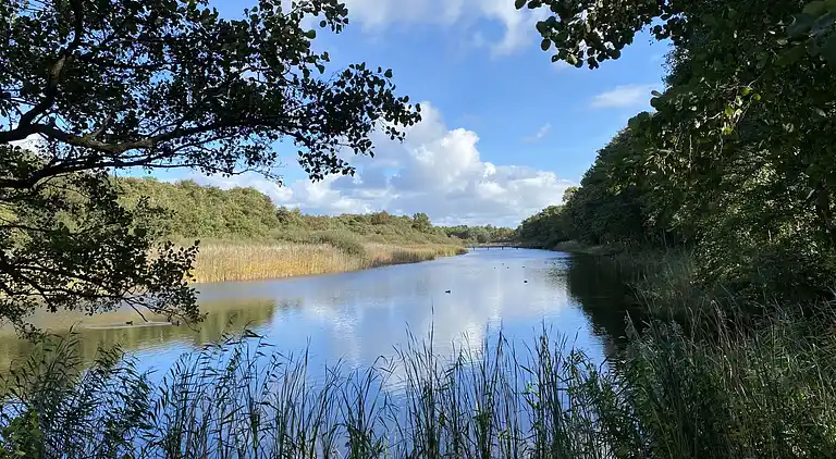 Ferienhaus in Born am Darß