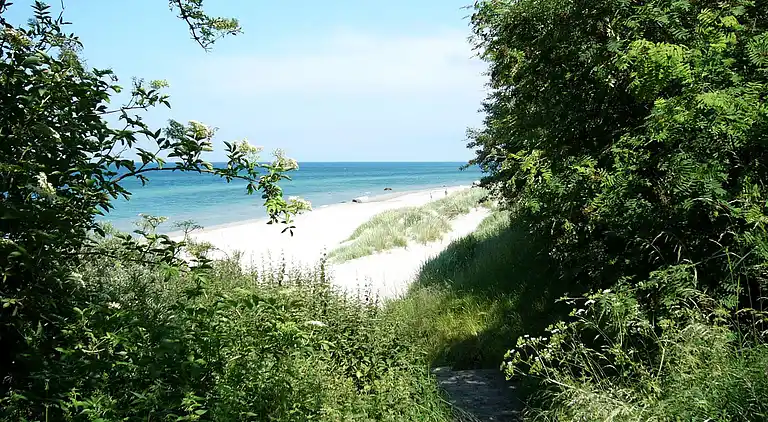 Holiday home in Schwarbe