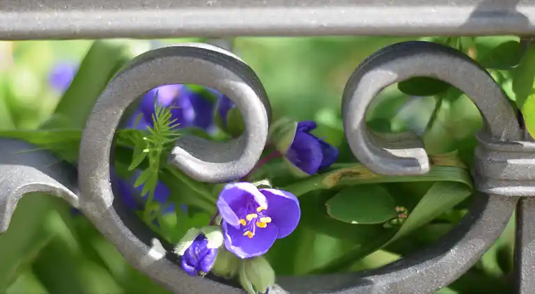 Holiday home in Lancken-Granitz