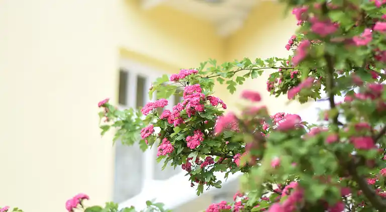 Holiday home in Lancken-Granitz