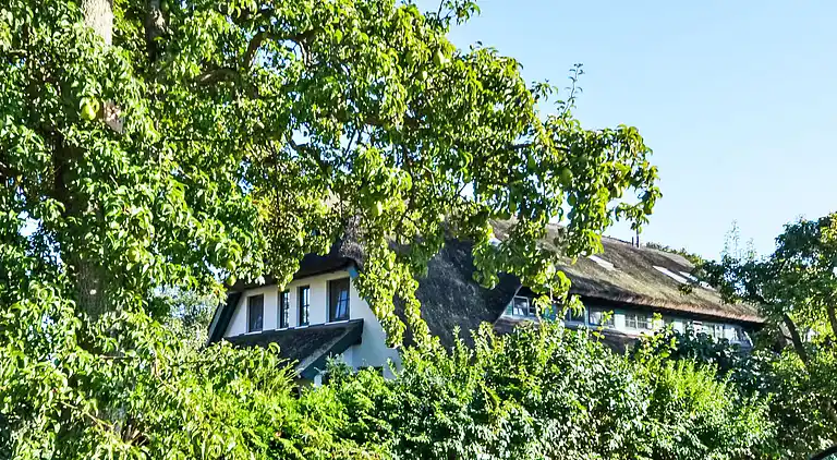 Vacation home in Groß Zicker