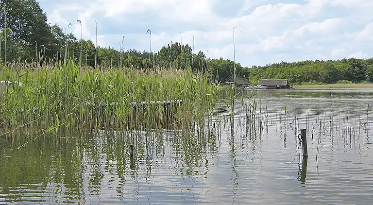 Feriebolig i Rechlin