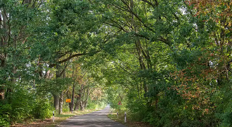 Feriebolig i Rechlin