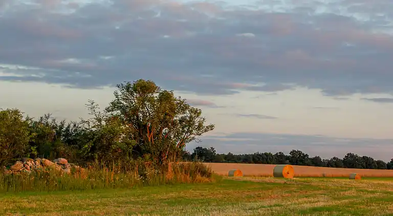 Feriebolig i Rechlin