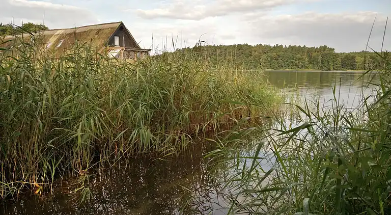 Feriebolig i Rechlin