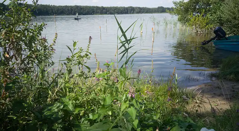 Feriebolig i Rechlin