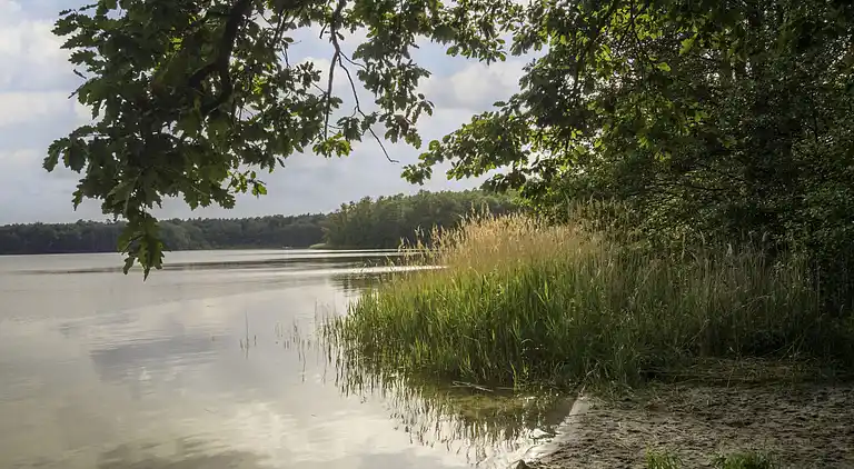 Feriebolig i Rechlin