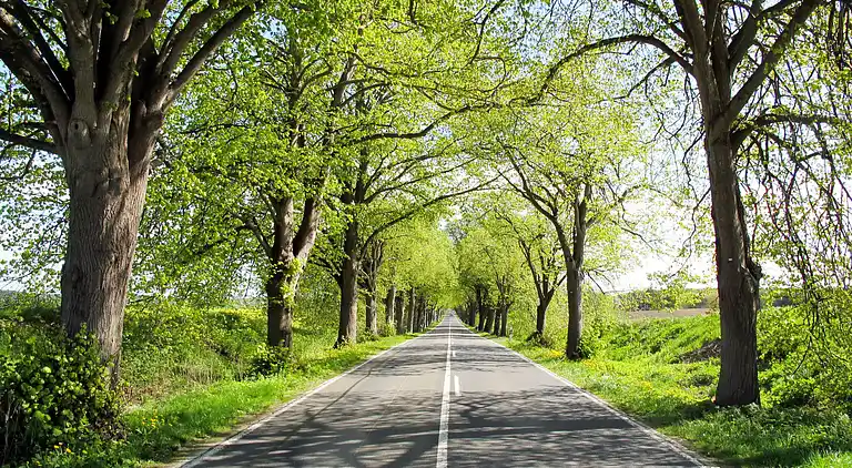 Feriebolig i Poseritz