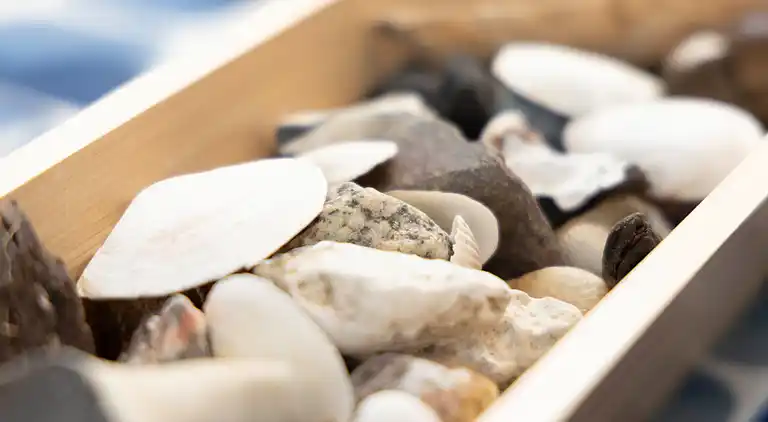 Ferienhaus in Lubmin