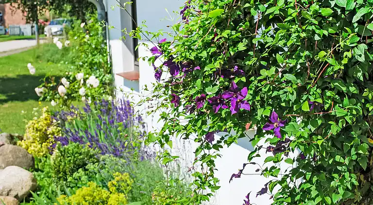 Casa vacanze in Dargun