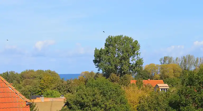 Holiday home in Gollwitz